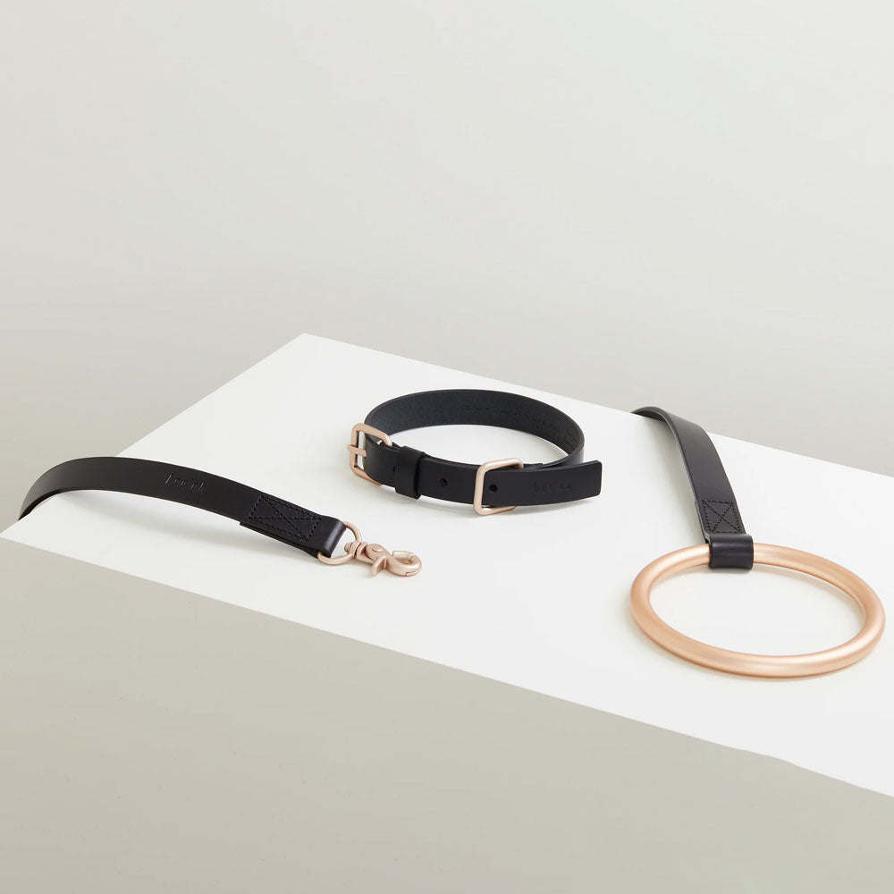 Lumi Collar