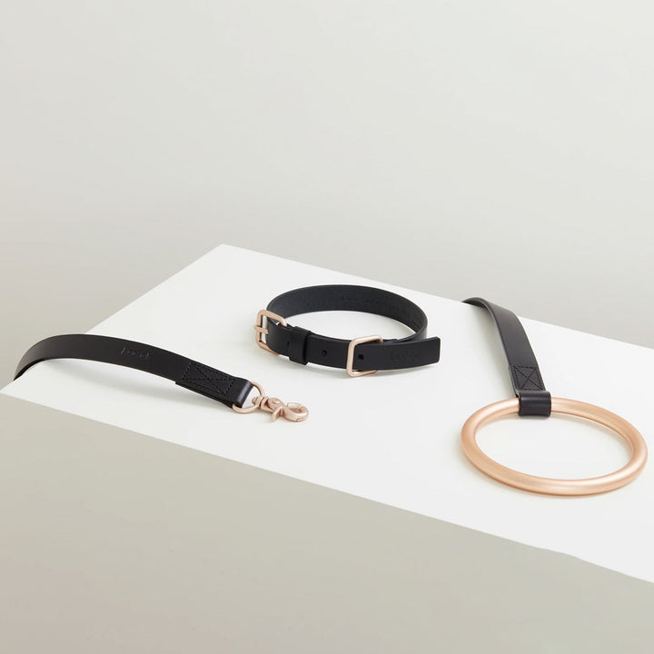 Lumi Collar