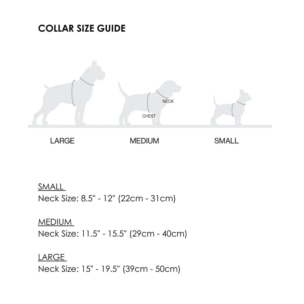 Lumi Collar