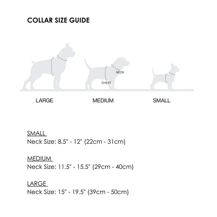 Lumi Collar