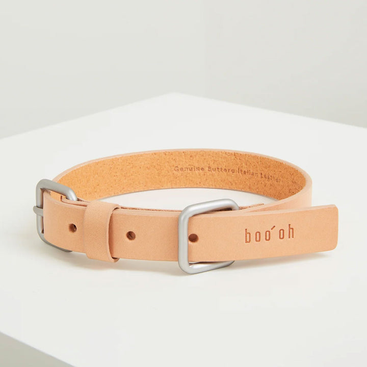 Lumi Collar
