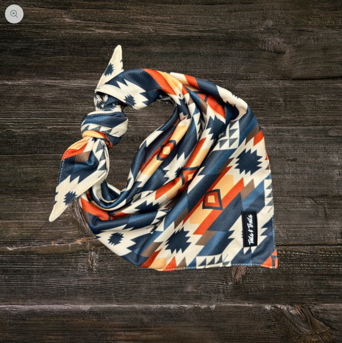 Cooling Dog Bandana