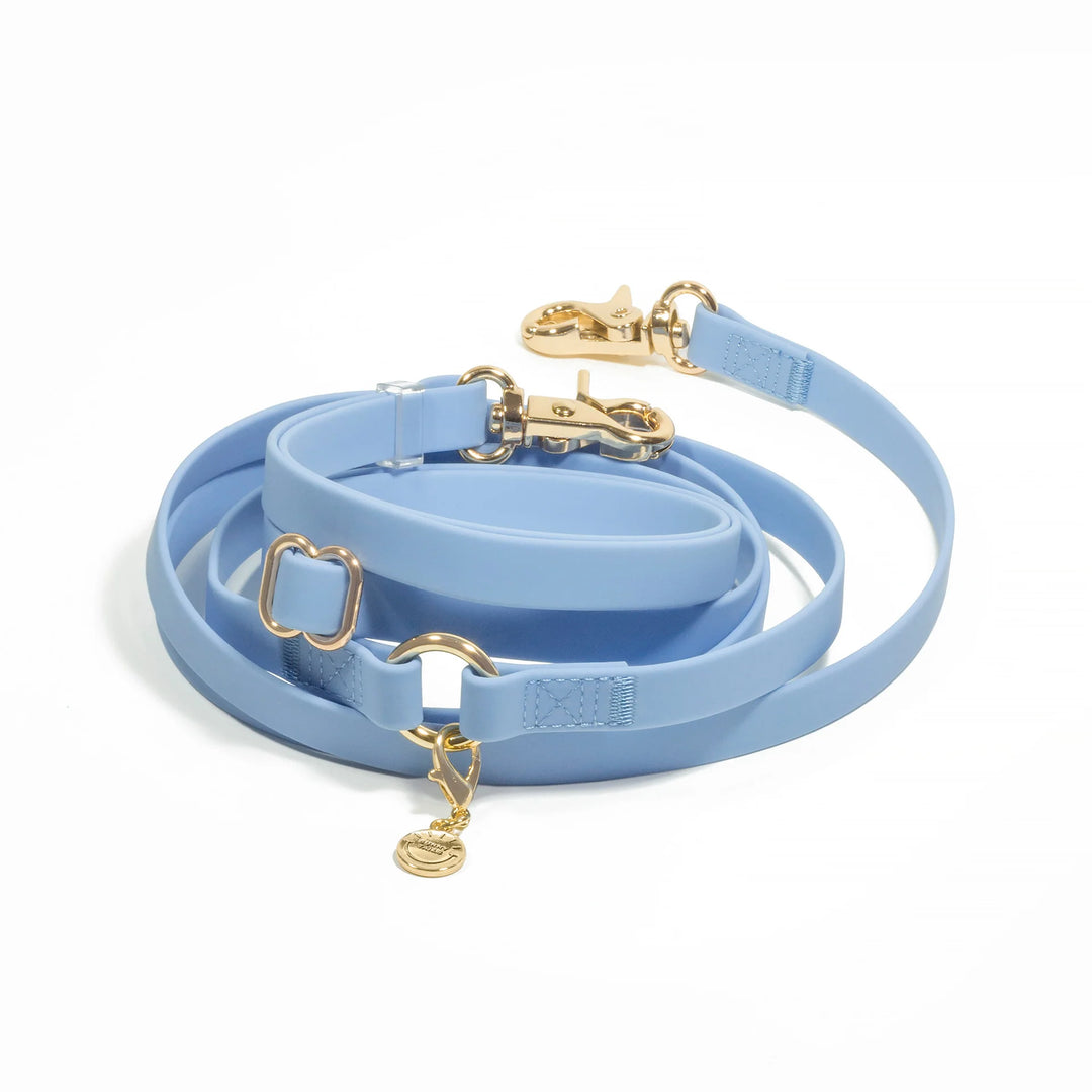 4-IN-1 Convertible Hands Free Cloud Dog Leash