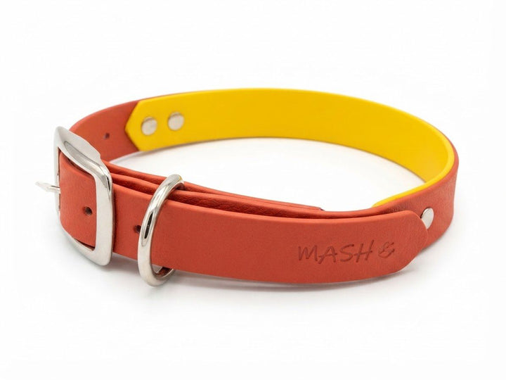 MASH Duo Dog Collar