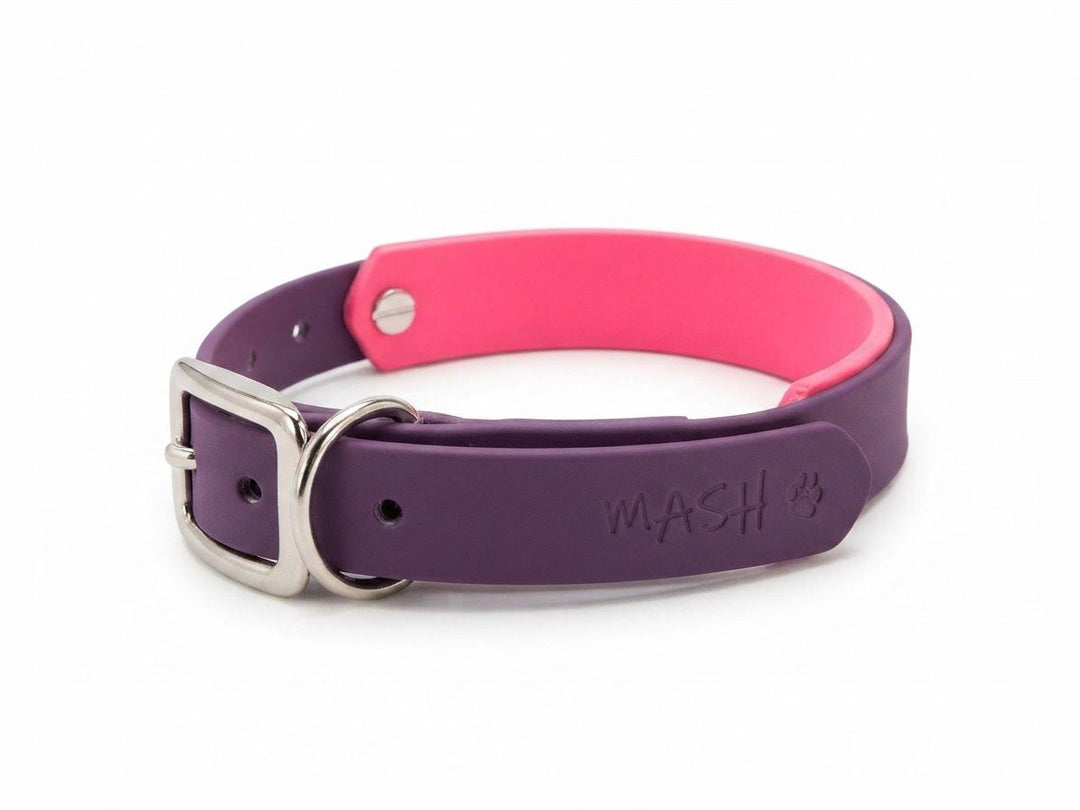 MASH Duo Full Dog Collar
