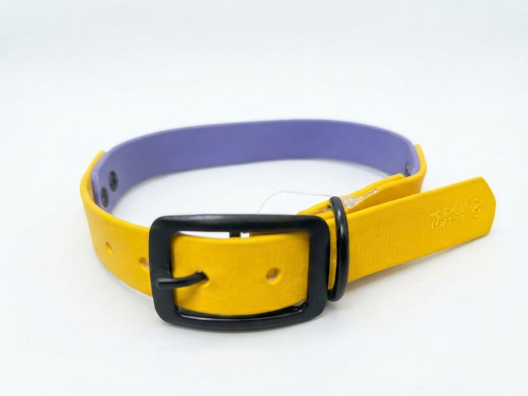 MASH Duo Dog Collar