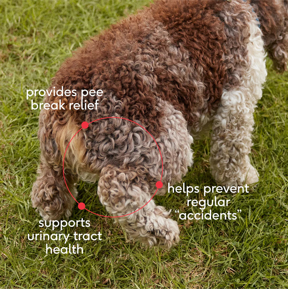 Bladder Chews