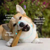 Yak Dental Chews