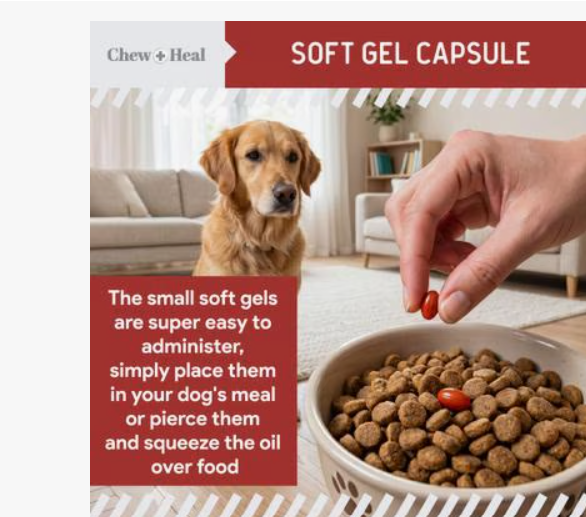 Chew + Heal CoQ10 Heart Support Softgels Supplement for Dogs, 60 count.