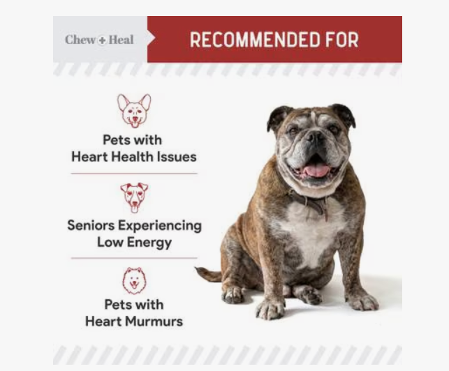 Chew + Heal CoQ10 Heart Support Softgels Supplement for Dogs, 60 count.