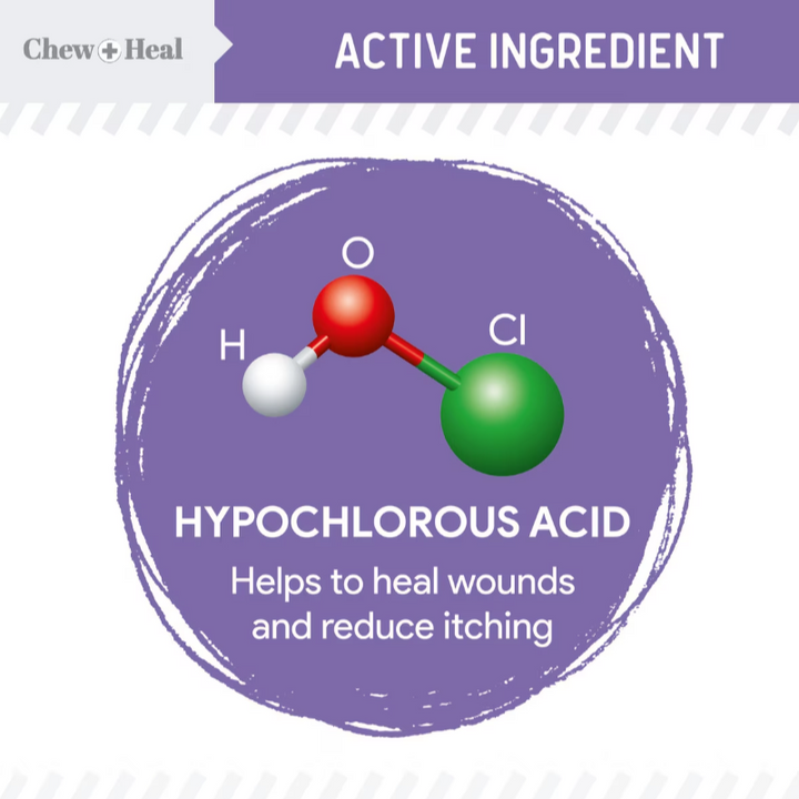 Chew + Heal Antimicrobial Hot Spots & Skin Infection Hypochlorous Acid Lotion for Dogs & Cats Wound Care