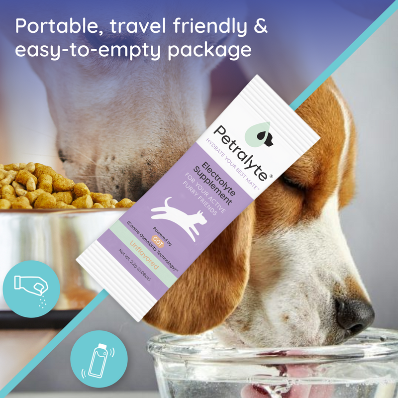 Dog Electrolyte and Joint Supplement, Unflavored