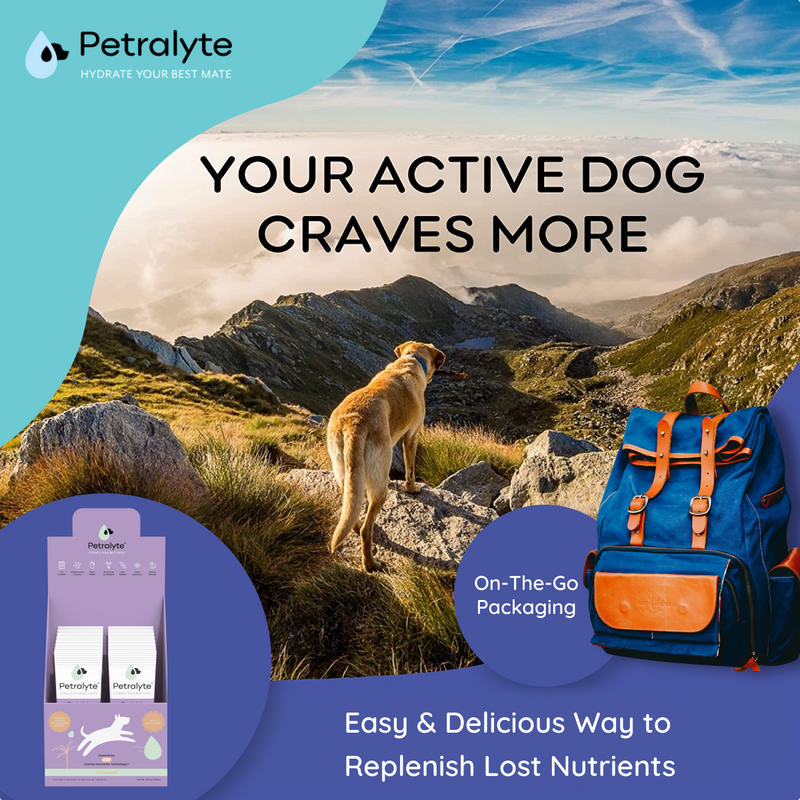 Dog Electrolyte and Joint Supplement, Unflavored