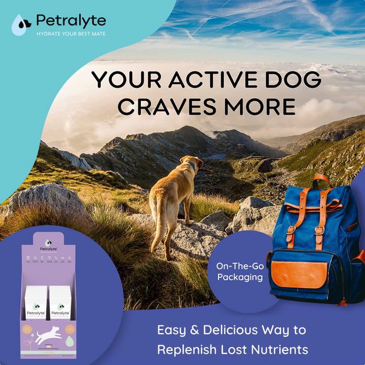 Dog Electrolyte and Joint Supplement, Unflavored