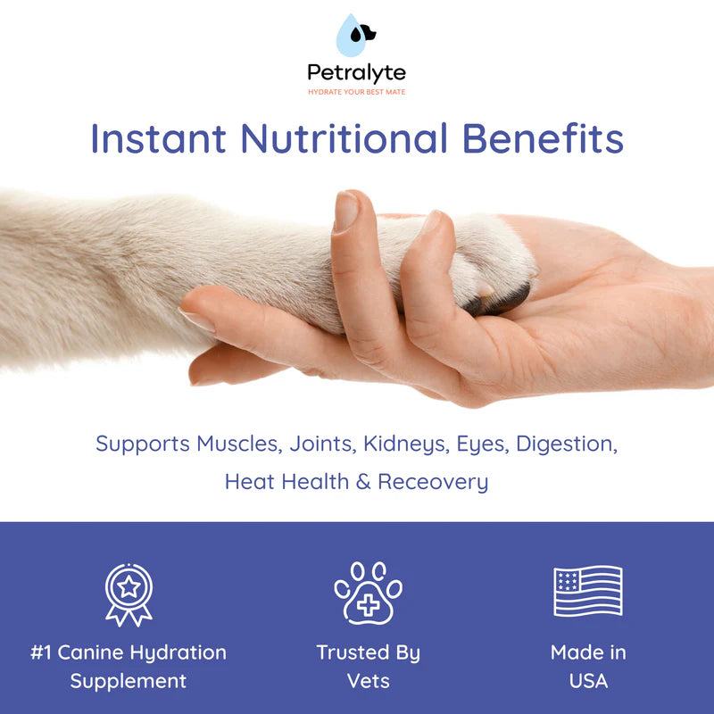 Dog Electrolyte and Joint Supplement, Salmon flavored.