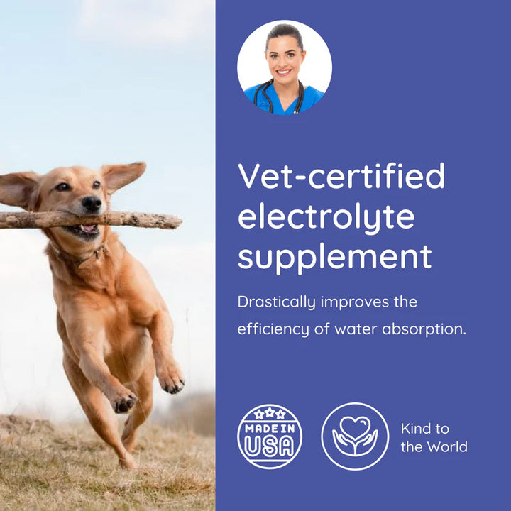 Dog Electrolyte and Joint Supplement, Salmon flavored.