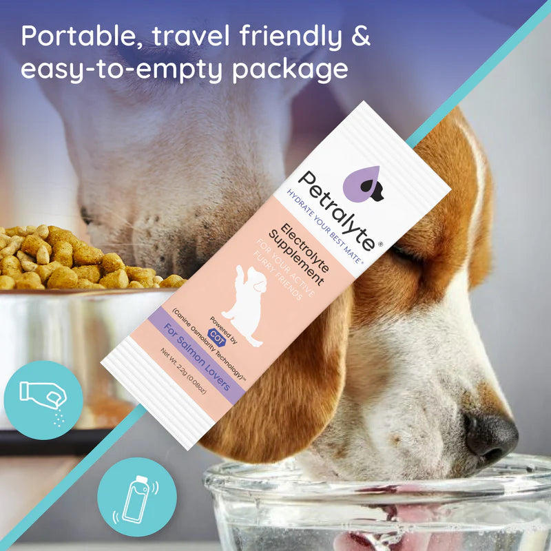 Dog Electrolyte and Joint Supplement, Salmon flavored.
