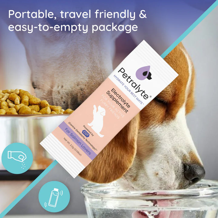 Dog Electrolyte and Joint Supplement, Salmon flavored.