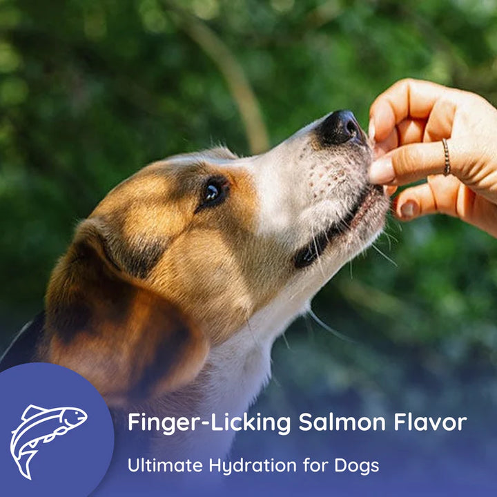 Dog Electrolyte and Joint Supplement, Salmon flavored.