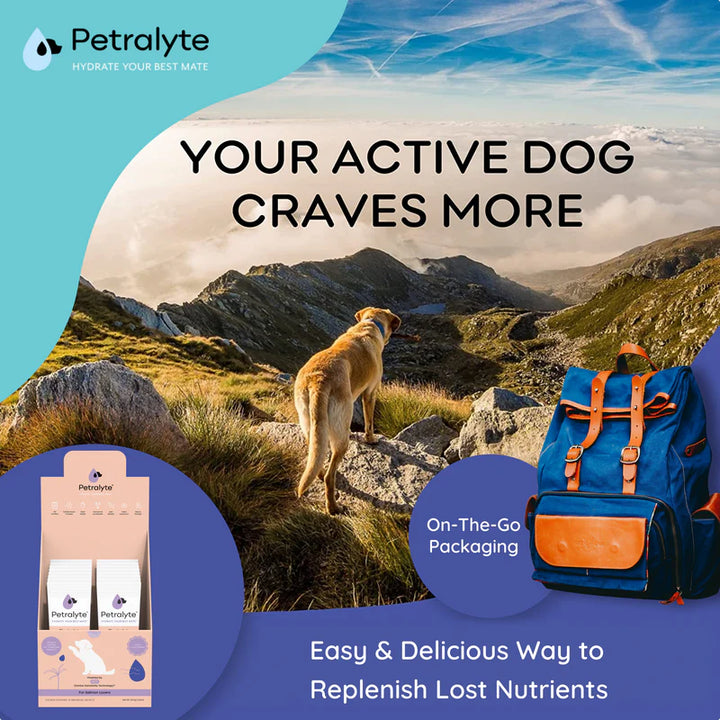 Dog Electrolyte and Joint Supplement, Salmon flavored.