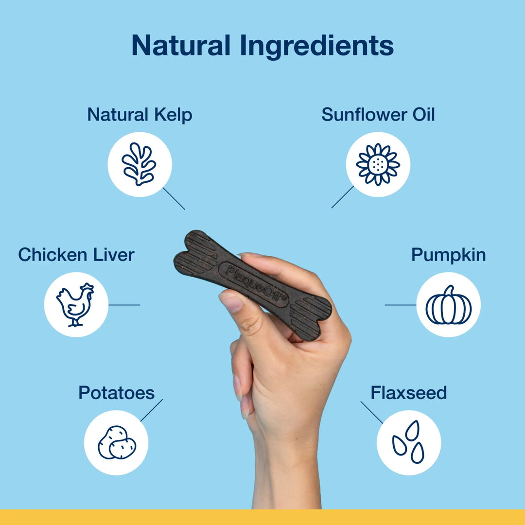 Dental Care Bones - Chicken and Pumpkin Flavor