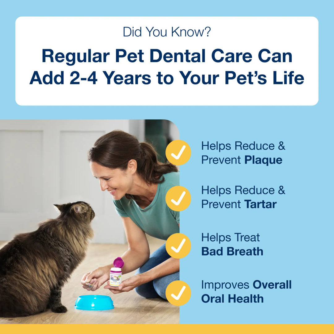 Powder for Cats 40g