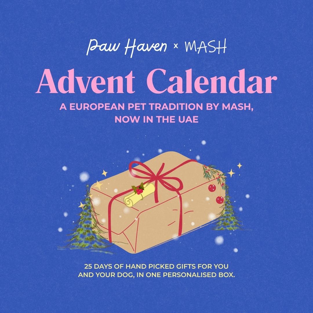 Dog Advent Calendar – 24-Day Treat & Toy Countdown