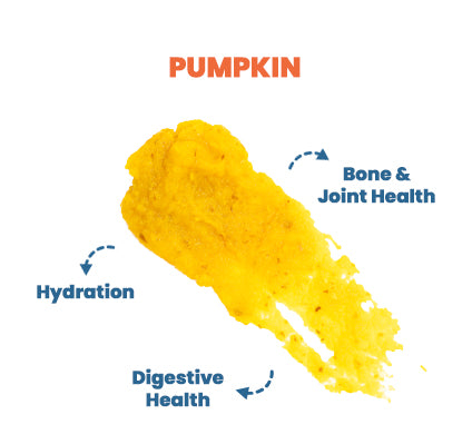 Pumpkin Puree - Functional Toppers
