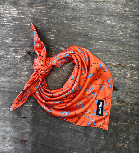 Cooling Dog Bandana