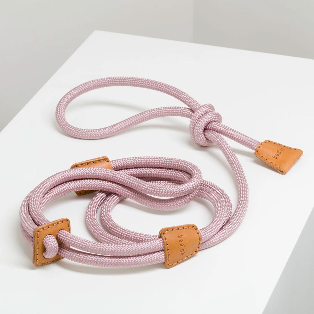 Ray Harness