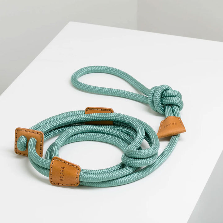 Ray Harness