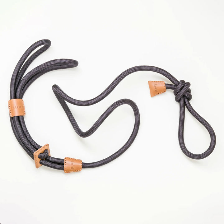 Ray Harness