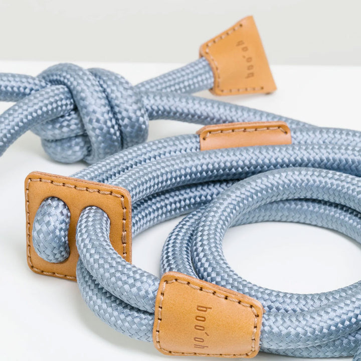 Ray Harness