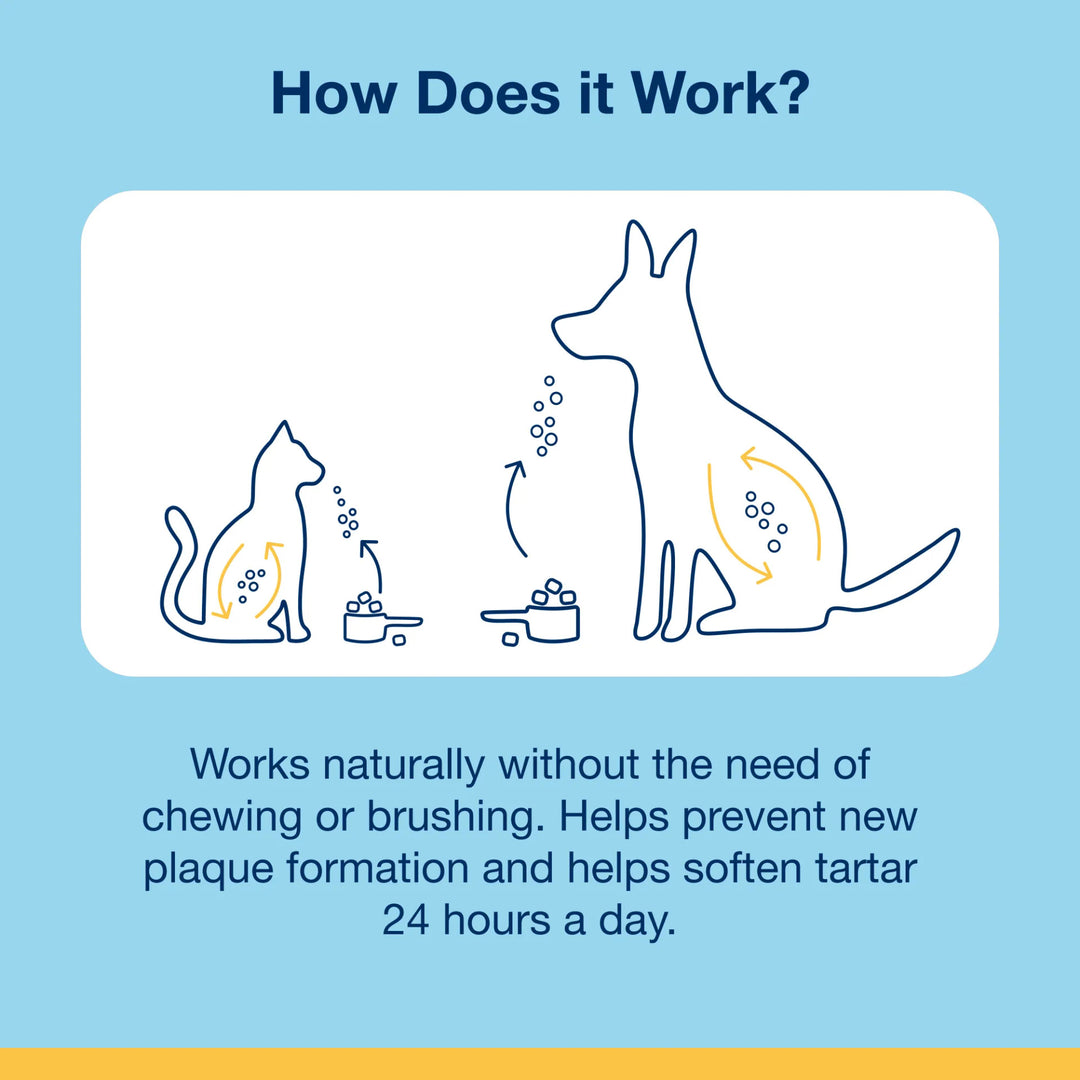 ProDen PlaqueOff Soft Chews - Dogs (For small and medium dogs)