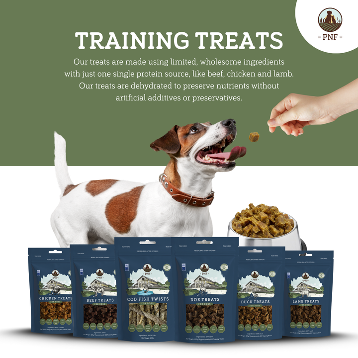 Lamb Training Treats 100g