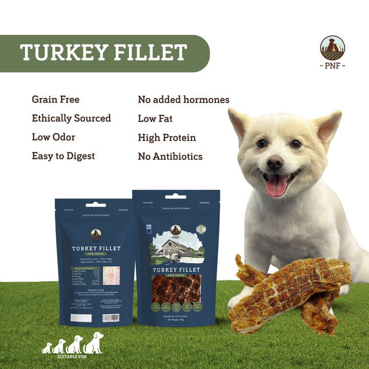 Turkey Fillet 100g