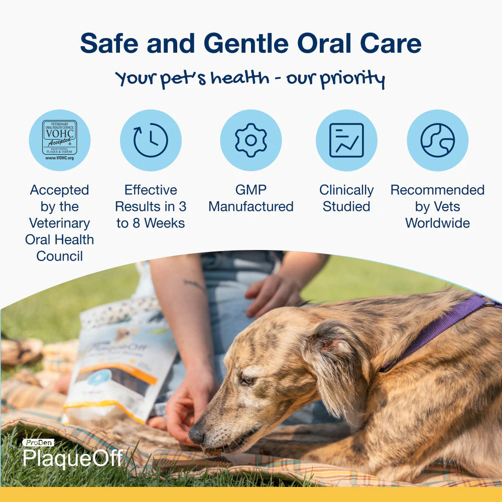 Dental Care Bones - Chicken and Pumpkin Flavor