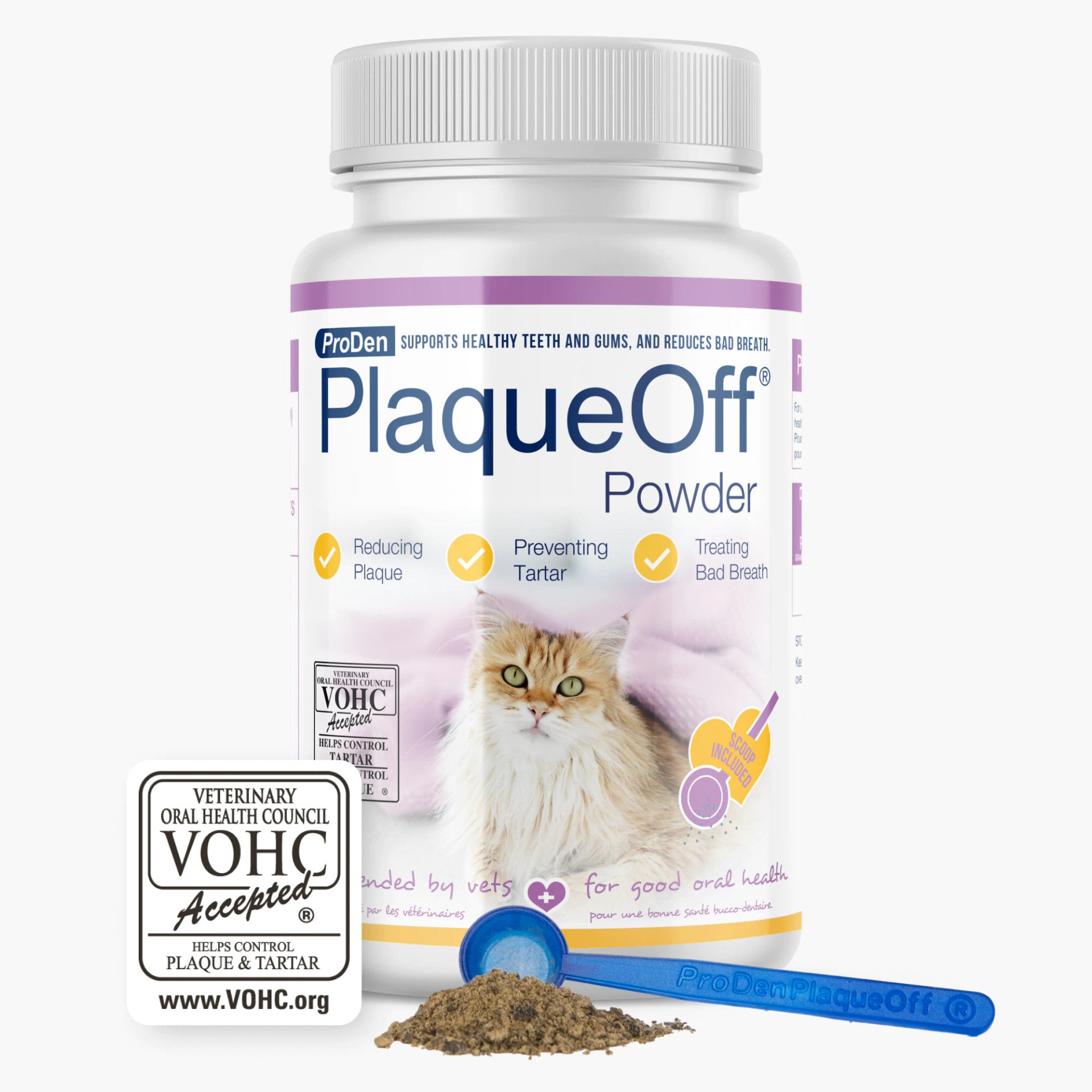 For Cats