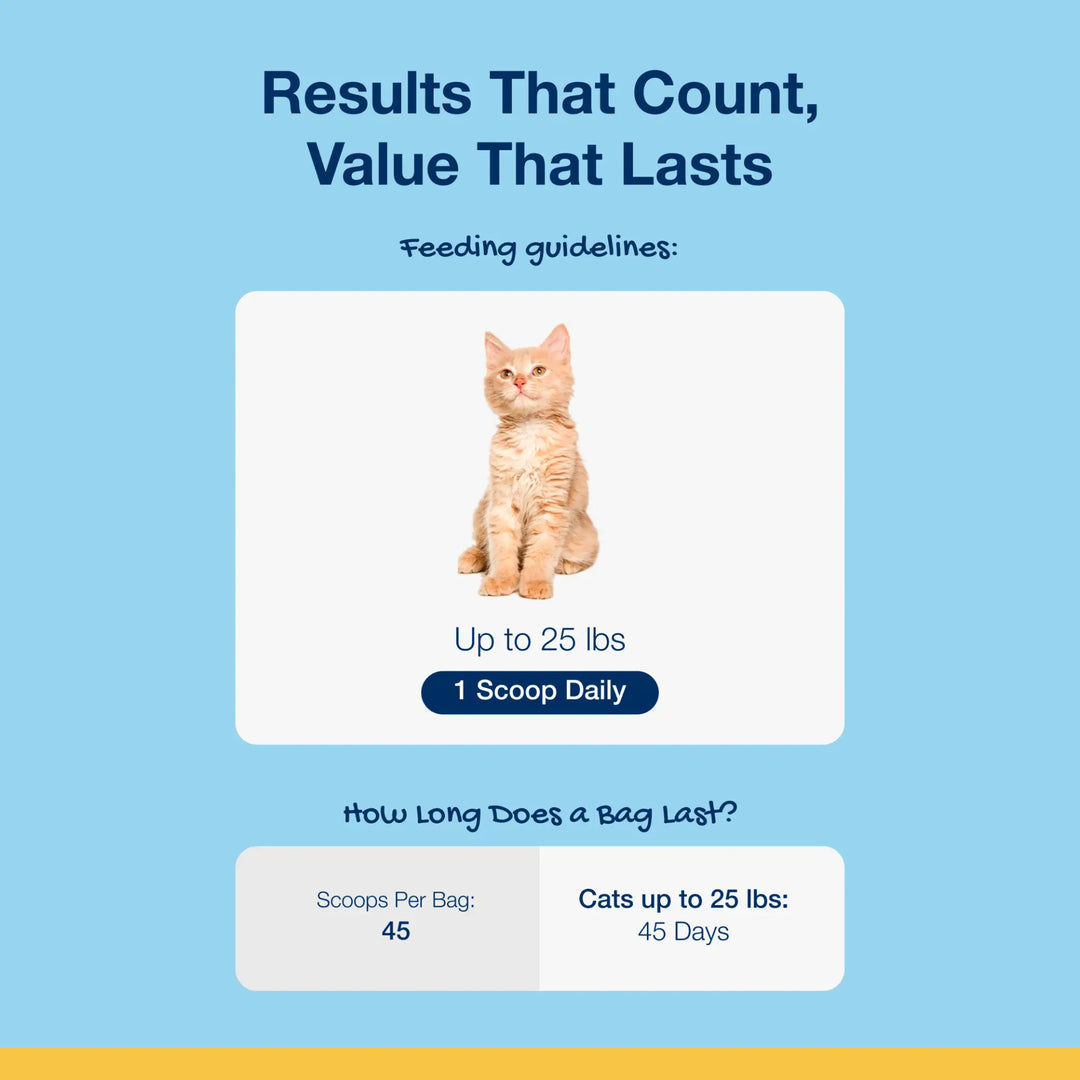 Scoopables - for Cat