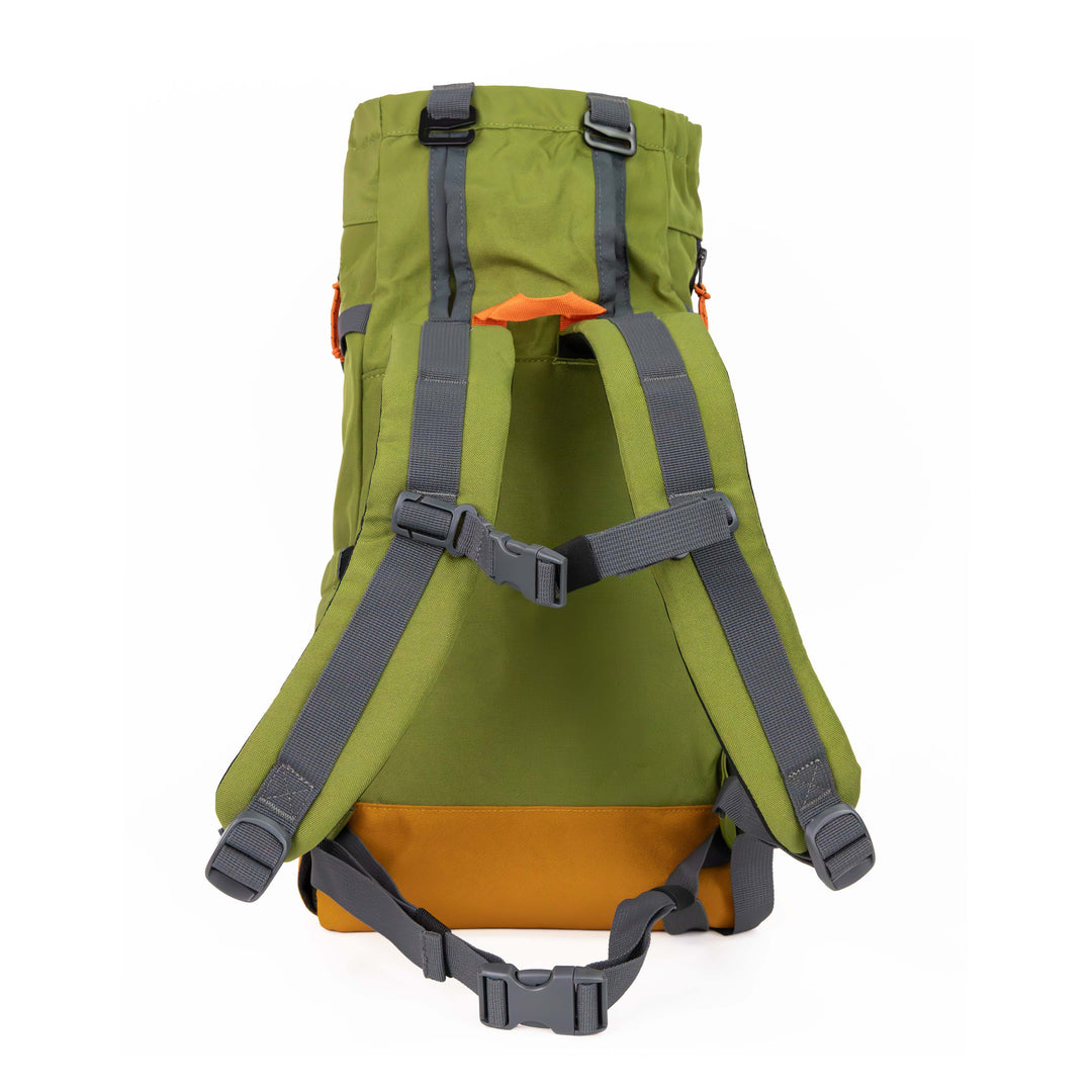 Urban 3  Dual Use Dog Carrier & Traditional Backpack - Green