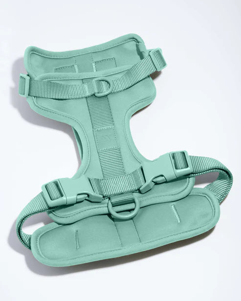 Dog Harness