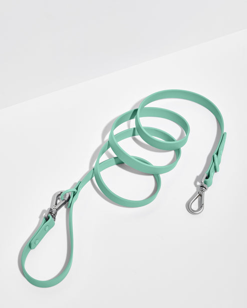 Wild one Dog Leash
