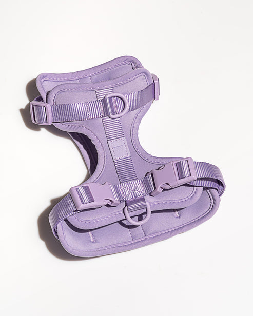 Dog Harness