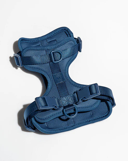Dog Harness