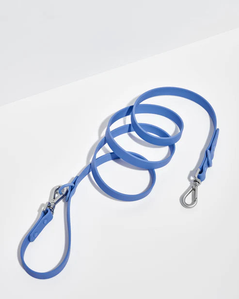 Wild one Dog Leash