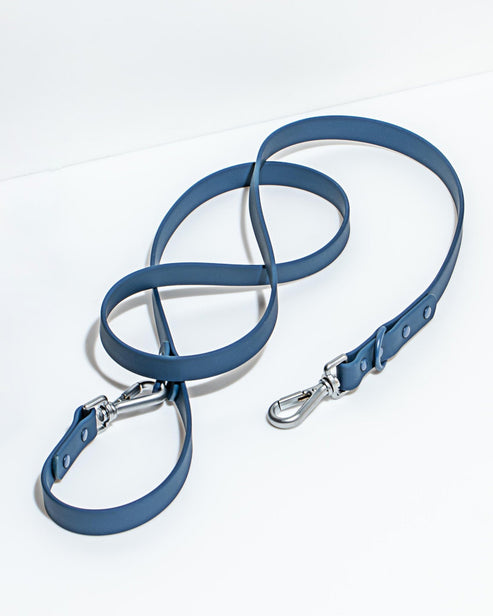 Wild one Dog Leash