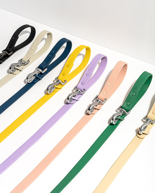 Wild one Dog Leash