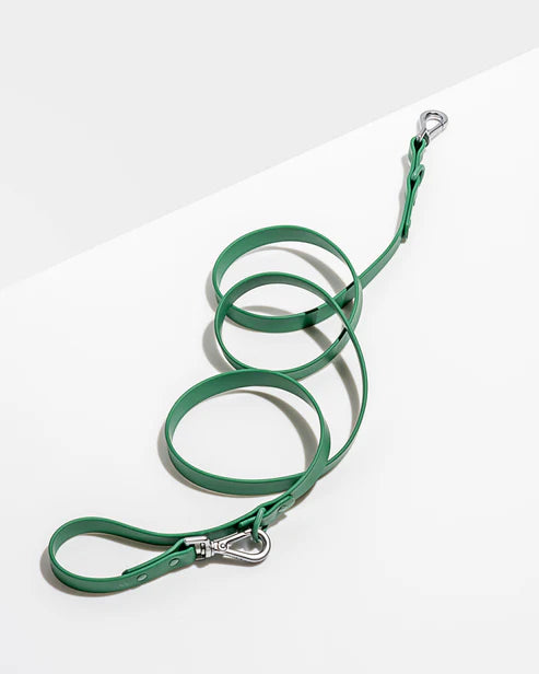 Wild one Dog Leash