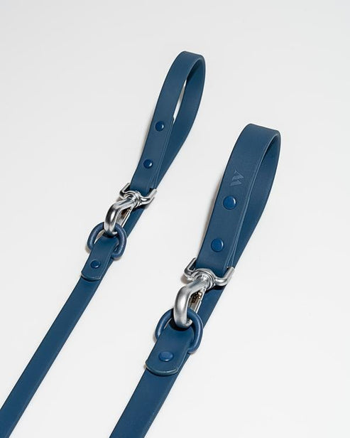 Wild one Dog Leash