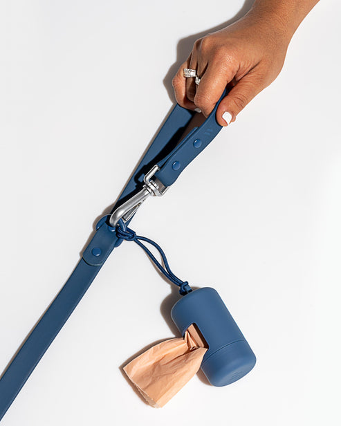 Wild one Dog Leash